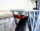Swell Cargo (7).webp