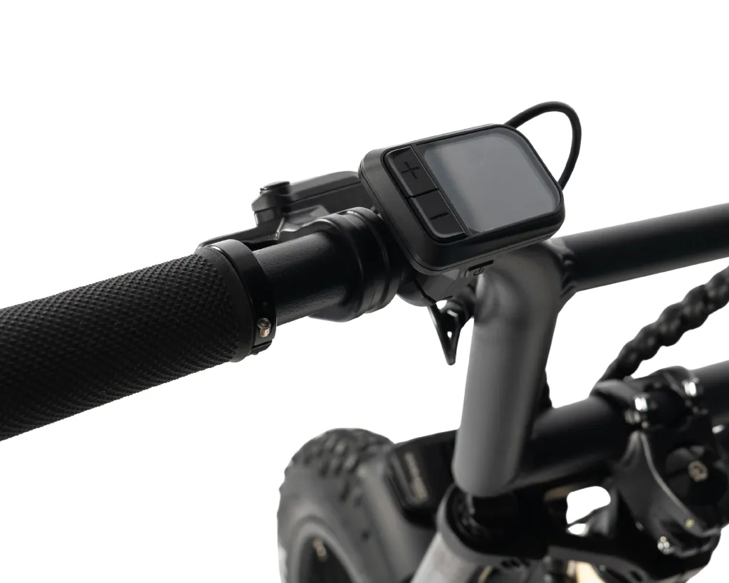 Product Images - 2026-06-02T094326.604.webp